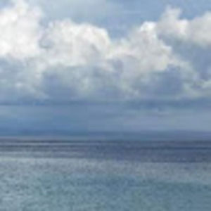 Meet your Posher, F. yoo